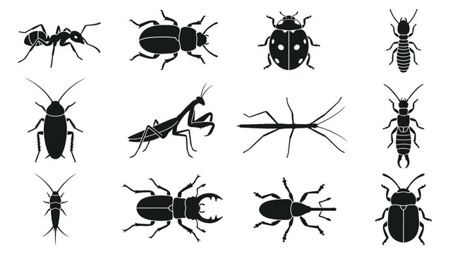 A flat vector silhouette set of 12 crawling insects including ant, beetle, ladybug, termite, cockroach, praying mantis, stick insect, earwig, silverfish, stag beetle, weevil, and leaf beetle, clean