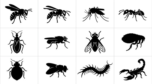 A professional vector silhouette icon set featuring 12 dangerous insects including hornet, wasp, mosquito, fire ant, kissing bug, tsetse fly, deer fly, flea, bed bug, botfly, giant centipede, and 