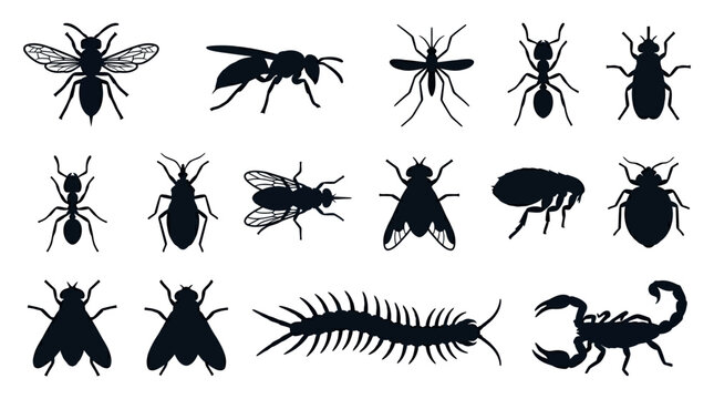 A professional vector silhouette icon set featuring 12 dangerous insects including hornet, wasp, mosquito, fire ant, kissing bug, tsetse fly, deer fly, flea, bed bug, botfly, giant centipede, and 