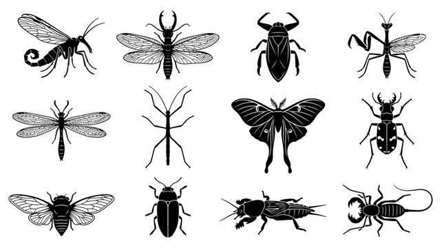 A wildlife silhouette icon collection featuring 12 exotic insects including scorpionfly, dobsonfly, giant water bug, mantisfly, antlion, walking stick, luna moth, tiger beetle, cicada, jewel beetle