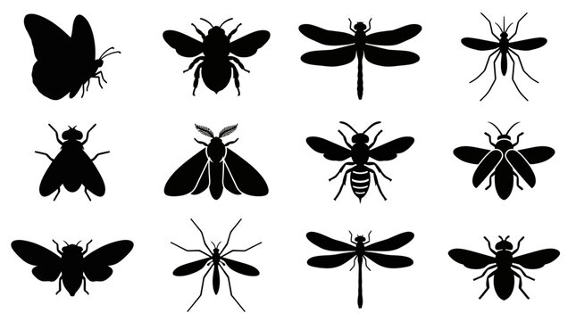 A professional silhouette vector icon collection of 12 flying insects including monarch butterfly, bumblebee, dragonfly, mosquito, housefly, moth, hornet, firefly, cicada, crane fly, damselfly