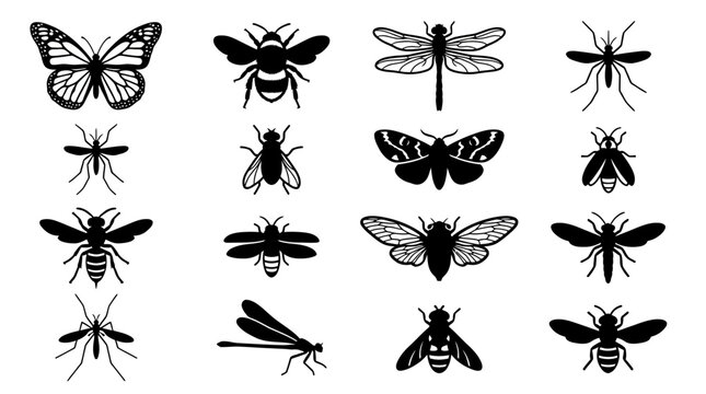 A professional silhouette vector icon collection of 12 flying insects including monarch butterfly, bumblebee, dragonfly, mosquito, housefly, moth, hornet, firefly, cicada, crane fly, damselfly