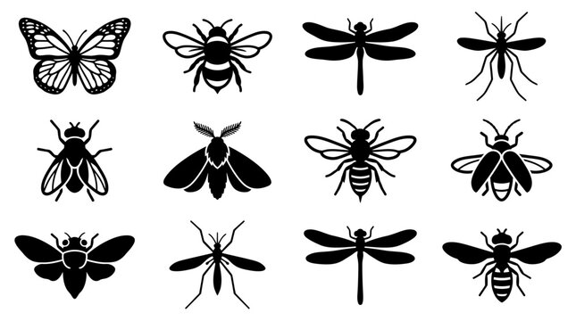 A professional silhouette vector icon collection of 12 flying insects including monarch butterfly, bumblebee, dragonfly, mosquito, housefly, moth, hornet, firefly, cicada, crane fly, damselfly