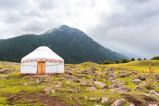 Horizontal view of a traditional Kyrgyz yurt in a green mountain valley with spruce forest, Altyn-Arashan, Kyrgyzstan.