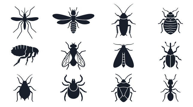 A modern vector silhouette set of 12 pest insects including mosquito, termite, cockroach, bed bug, flea, housefly, clothes moth, weevil, aphid, tick, stink bug, and ant, simple recognizable 