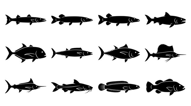 &ldquo;A modern vector silhouette set of 12 predatory fish including great barracuda, northern pike, muskellunge, tigerfish, giant trevally, wahoo, bluefin tuna, sailfish, marlin, shark catfish, snakehead 