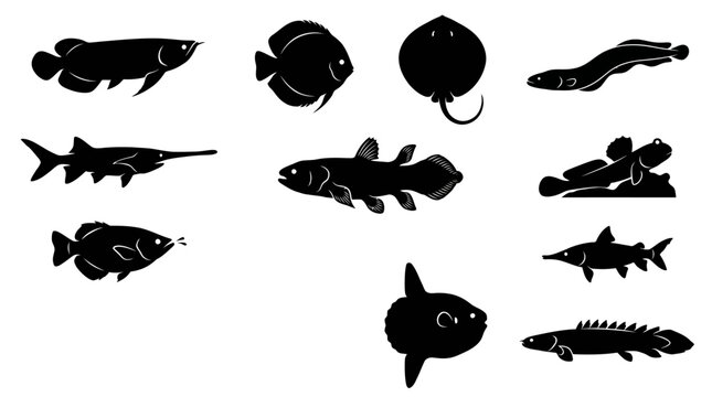 &ldquo;A premium wildlife vector silhouette icon set featuring 12 exotic fish species including arowana, discus fish, stingray, electric eel, paddlefish, coelacanth, archerfish, mudskipper, sawfish,