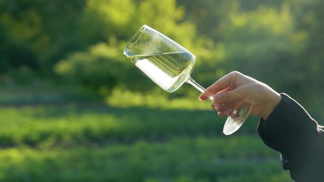 White wine pouring from a crystal glass during aroma evaluation and tasting. Premium lifestyle. Professional Beverage Tasting Process
