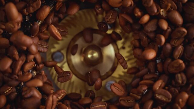 coffee beans