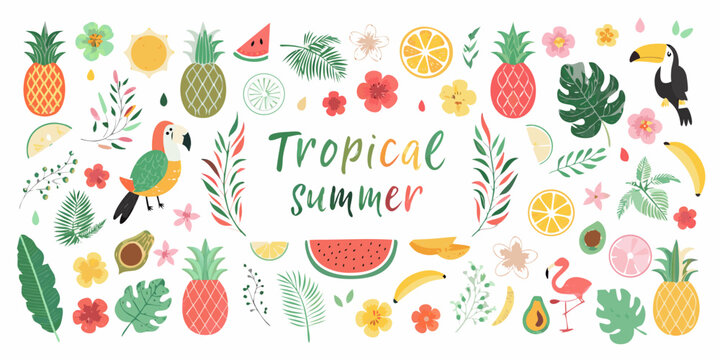 Tropical fruits flowers and birds vector illustration on white background