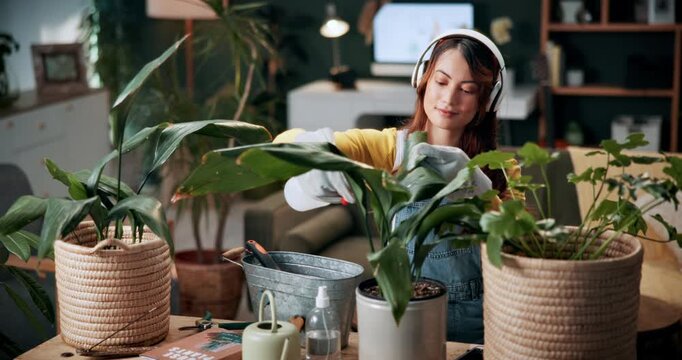 Gardening, woman and watering plants with headphones in home for growth, development or routine. Podcast, gardener or soil hydration with spray bottle for houseplant care, green hobby or maintenance