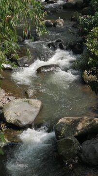 A beautiful vertical slow motion video capturing clean river water cascading smoothly through natural rocks and lush green trees.