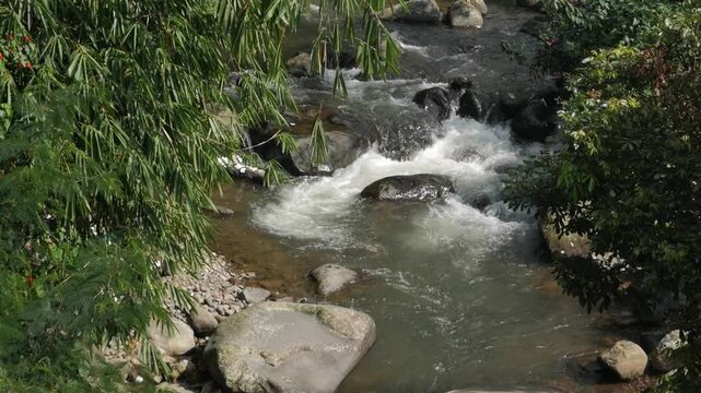 A serene horizontal scenery of a rocky river stream flowing beautifully in slow motion through a dense green forest on a bright day.