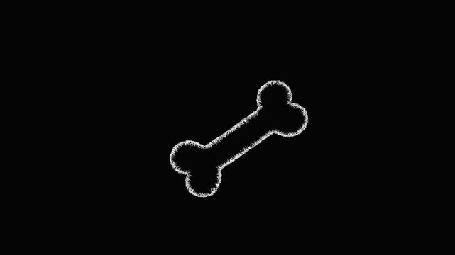 Sketch dog bone icon animation - smooth progressive reveal