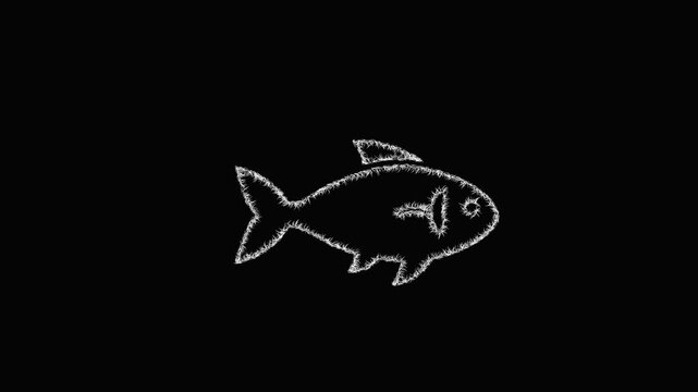 Sketch fish icon animation - smooth progressive reveal