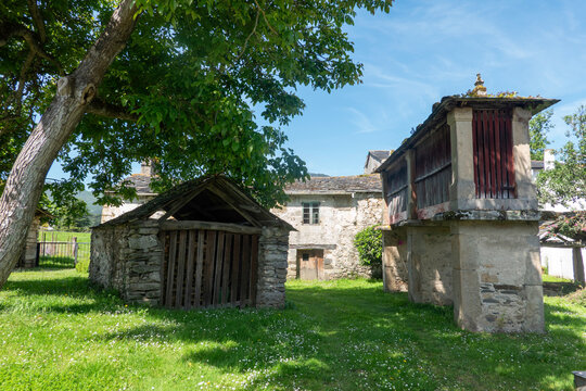 A traditional Galician stone horreo (granary) and rural outbuilding in a green meadow under a shady tree in Viveiro, Lugo, reflecting authentic rustic architecture.