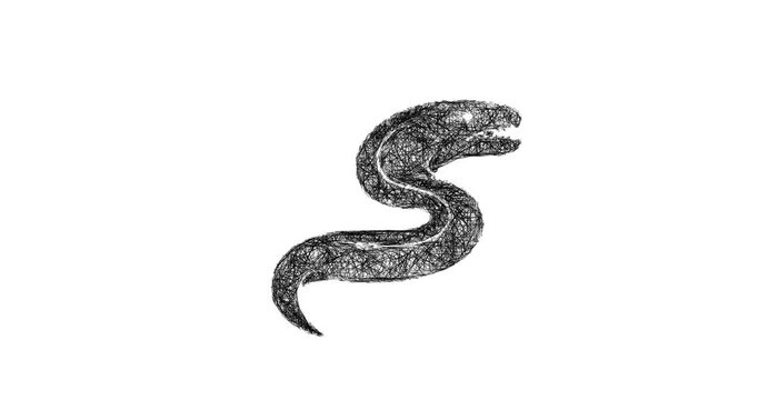 Sketch eel icon animation - smooth progressive reveal