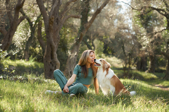 The woman and her Border Collie enjoy a moment of peace on the sunlit grass. Their shared quiet moment reflects a strong bond.