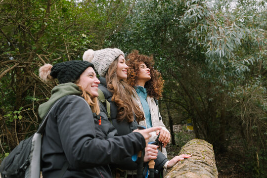 Winter mountain hiking friends enjoying forest trail view