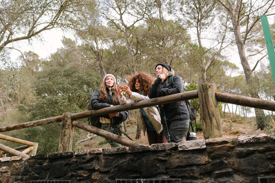 Winter hike friends checking smartphone map in mountain park