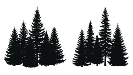 Obraz premium Evergreen Tree Grouping Silhouette Against White Background