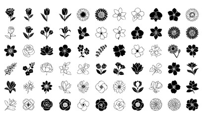 Black Silhouette and Line Art Flower Icon Set with Various Blooms and Petals for Floral and Botanical Designs © Md