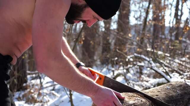 Shirtless bearded man sawing a log in sunny winter forest. Strong guy working with saw in snowy woodland. The scene highlights human effort and outdoor activity in cold conditions. Slow motion