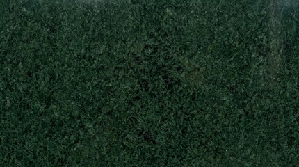 Fototapeta premium Dark green granite texture seamless background