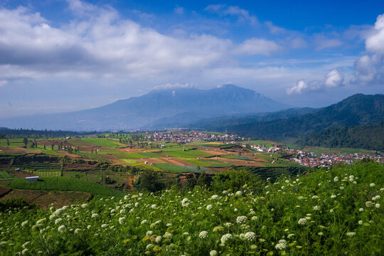 Vibrant terraced fields stretch across rolling hills. Mountains loom in the distance under soft clouds. Farmland displays neat rows of prepared soil and green crops