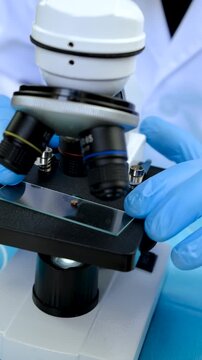 The tick laboratory is conducting an analysis. Selective focus.