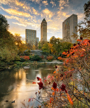 Autumn foliage and city skyline reflected in a park pond, capturing urban tourism and travel destination during sunset in Central Park, Manhattan, New York City, United States, USA.