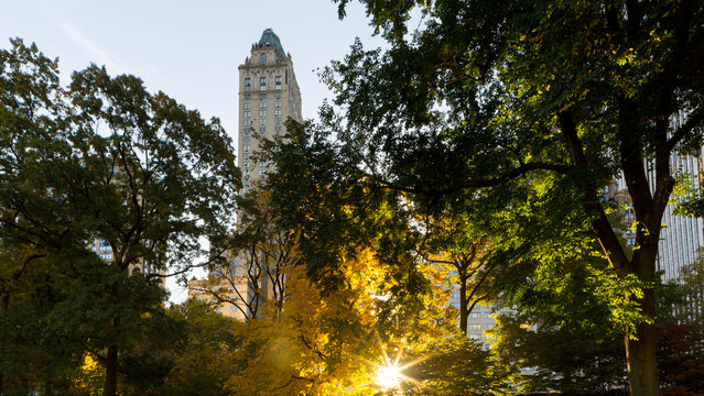 Urban park landscape featuring high-rise architecture framed by autumn trees with sun rays, capturing the essence of city tourism in Central Park, Manhattan, New York City, United States.