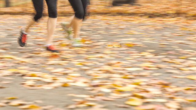 Runners legs jogging on a path covered in autumn leaves to symbolize an active outdoor fitness lifestyle in Central Park, New York City.