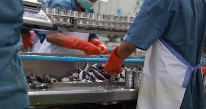 Food manufacturing industry. Worker working in canned food factory. Food industry. Canned fish factory. Worker's hand holding sardine to cutting head. Worker in food processing production line.