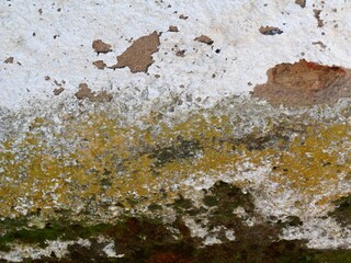Fototapeta premium Weathered wall texture showing peeling paint and moss