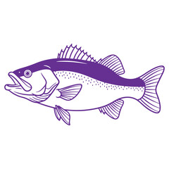 Fototapeta premium Purple line art illustration of a fish with open mouth and visible fins isolated on transparent background