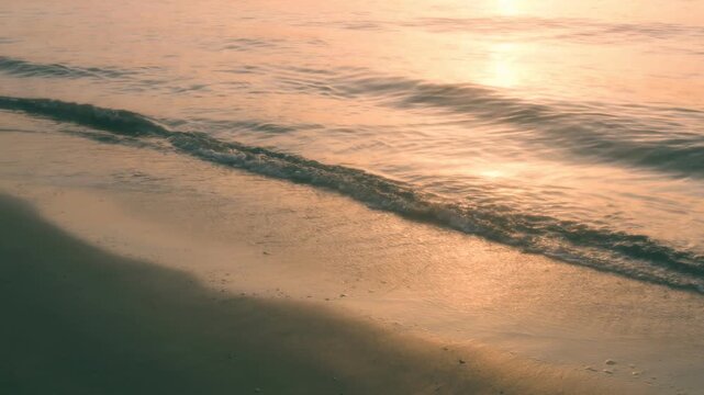 夕方の砂浜に寄せる海の波