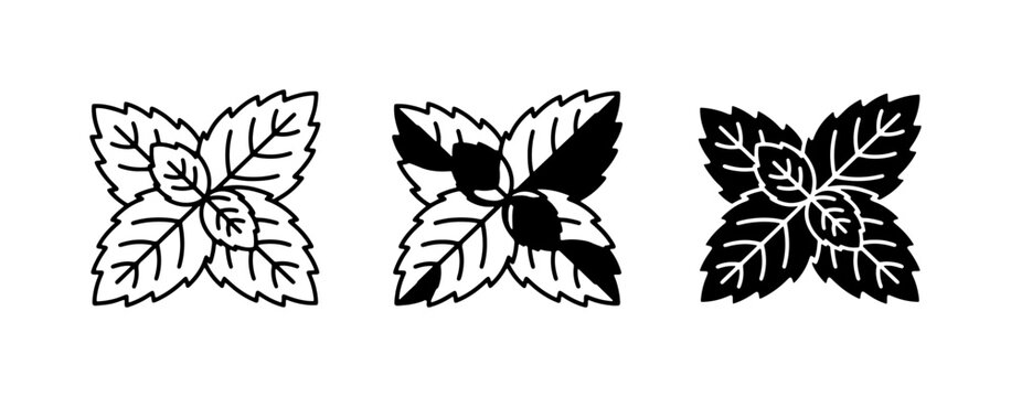 Mint Leaf Icons, Fresh Herb Vector Graphics, Culinary Ingredient Symbols