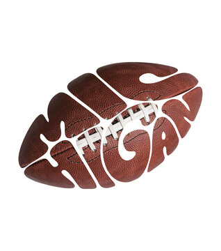 Michigan American football