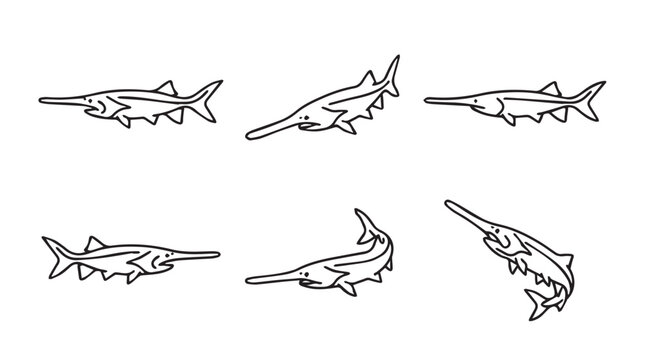 Paddlefish collection set of hand drawn aquatic animal illustrations with paddlefish wildlife freshwater creature underwater swimming predator monochrome illustration isolated artistic