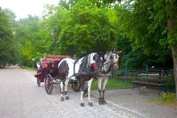 Przejażdżka bryczką, Ciechocinek, Polska. Horse-drawn carriage ride, Ciechocinek, Poland