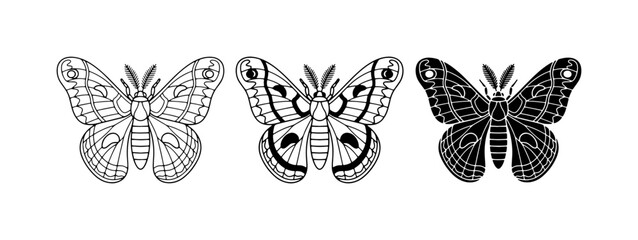 Moth Illustrations: Black and White Insect Designs, Vintage Entomology Art, Vector Graphics © Abu
