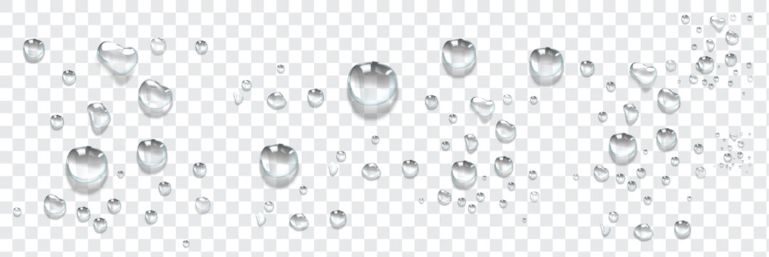 Vector water drops. Drops png, condensation on the window, on the surface. Realistic drops on an isolated transparent background.