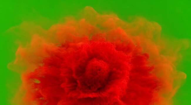 Vibrant Red Orange Explosion Abstract Energy Bloom Bloom Flower Shape on Bright Green Screen Background Dynamic Motion Graphic Fractal Form
