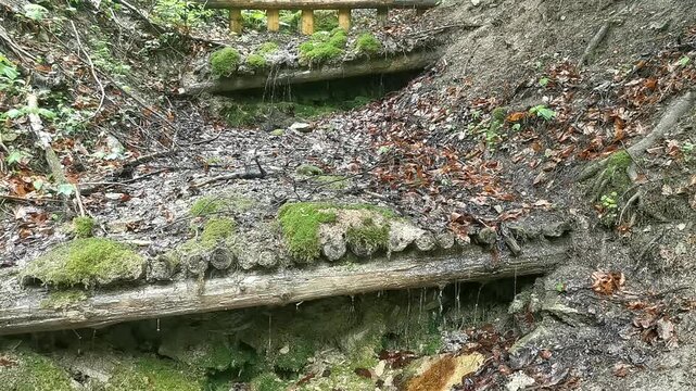 Mossy wooden log check dams on a forested slope, an erosion control barrier in a woodland gully with water trickling over the timber and fallen leaves. Forest soil conservation in Poland, no people.