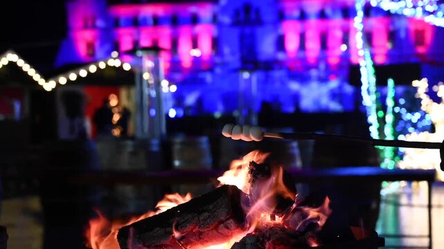 Roasting marshmallows over outdoor winter fire pit with colorful holiday lights and castle background.