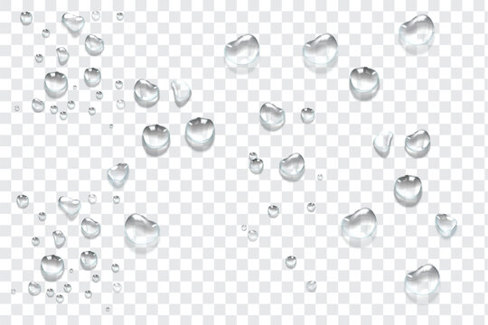 Vector water drops. Drops png, condensation on the window, on the surface. Realistic drops on an isolated transparent background.
