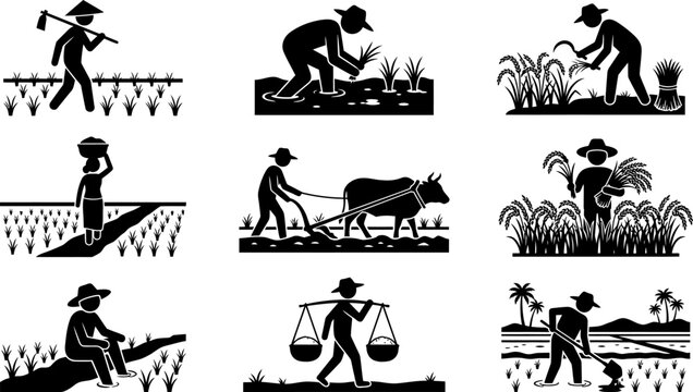 Collection of vector silhouettes illustrating rice farming activities including plowing harvesting planting and transporting crops by farmers in rural landscape scenes.