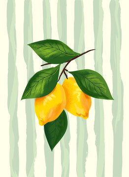 Lemon Branch Textured Illustration with Sage Green Striped Background