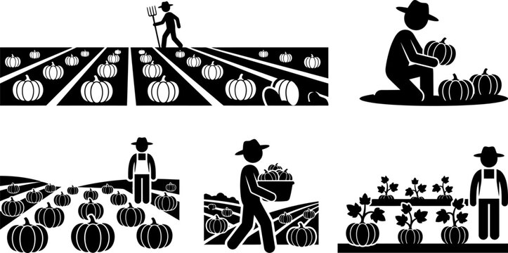 Farmer picking pumpkins from vines in field with tractor and barn in background harvest agriculture icons set autumn fall season gourds and vegetables collection.